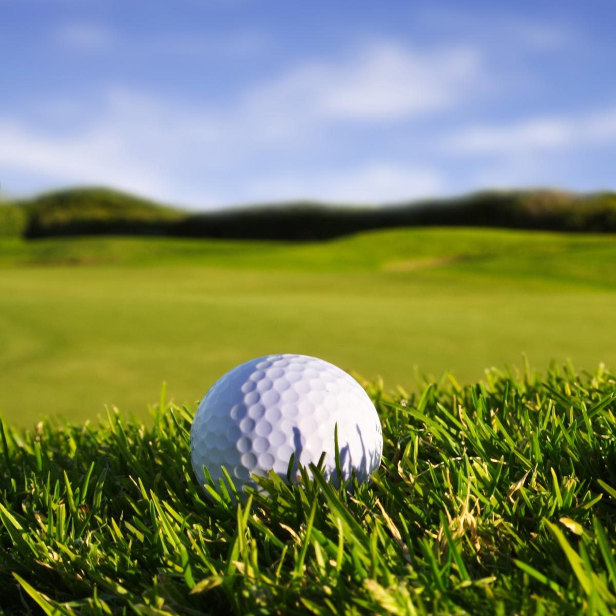 SAVE THE DATE: Golf Tournament, February 25, 2026, Sarasota, FL