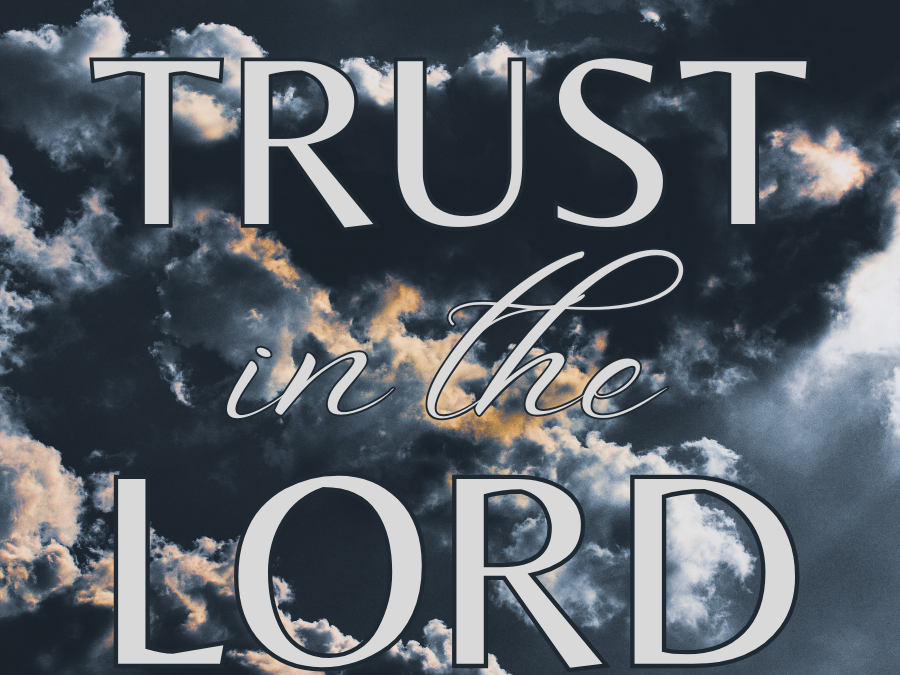 “But blessed is the one who trusts in the LORD, whose confidence is in him.” Jeremiah 17:7 (NIV)