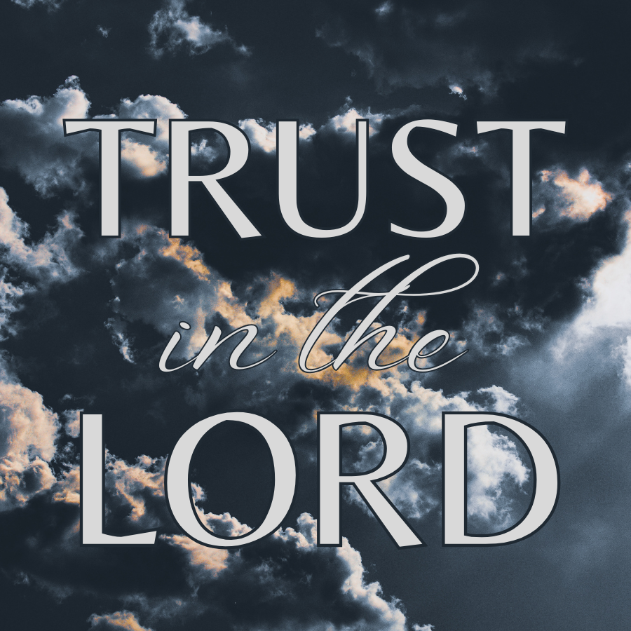 “But blessed is the one who trusts in the LORD, whose confidence is in him.” Jeremiah 17:7 (NIV)