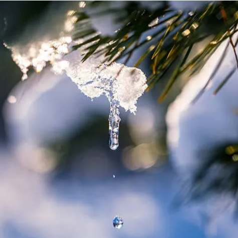 Those Who Hope in the Lord Will Renew Their Strength