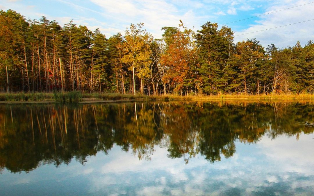 Fall and Winter at Wingfield Ministries!