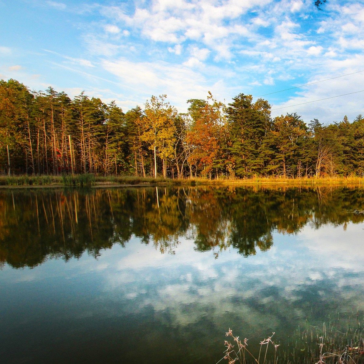 Fall and Winter at Wingfield Ministries!